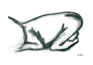 vauva